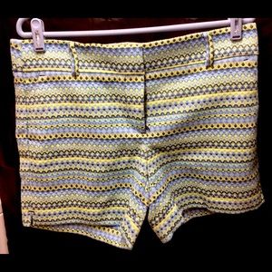 Loft shorts for Women.